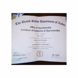 IBM Application Developer Apprenticeship Certification
